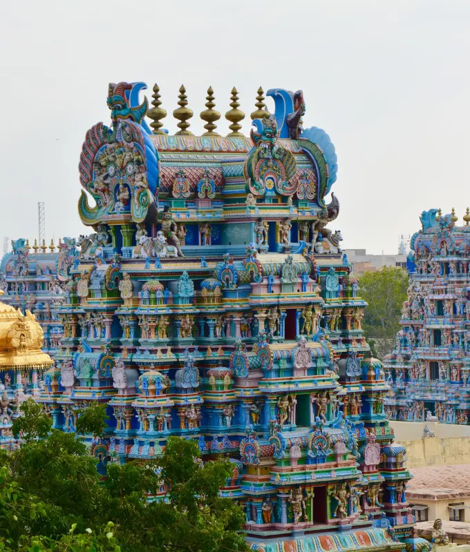 Trek montagnes Kerala