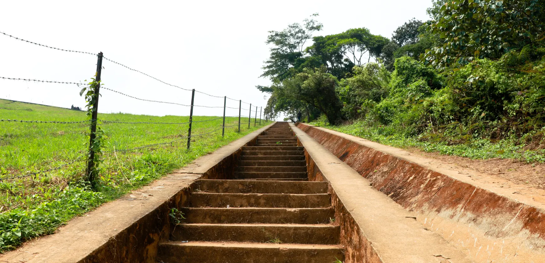 Wayanad Kerala Guide Complet