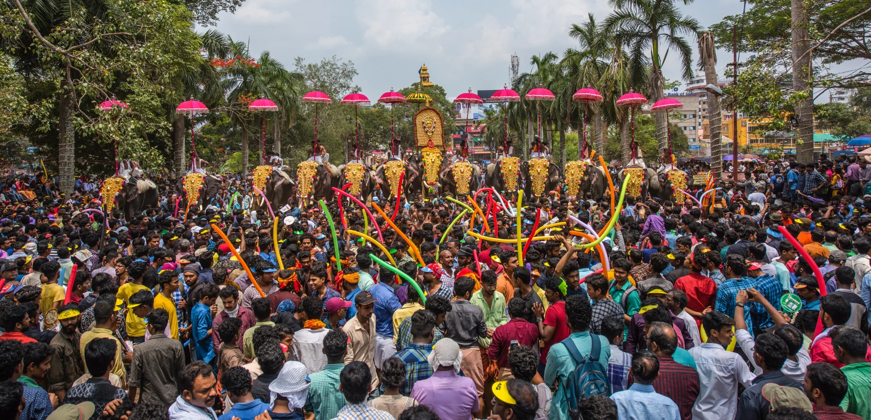 Thrissur Pooram Festival Elephants