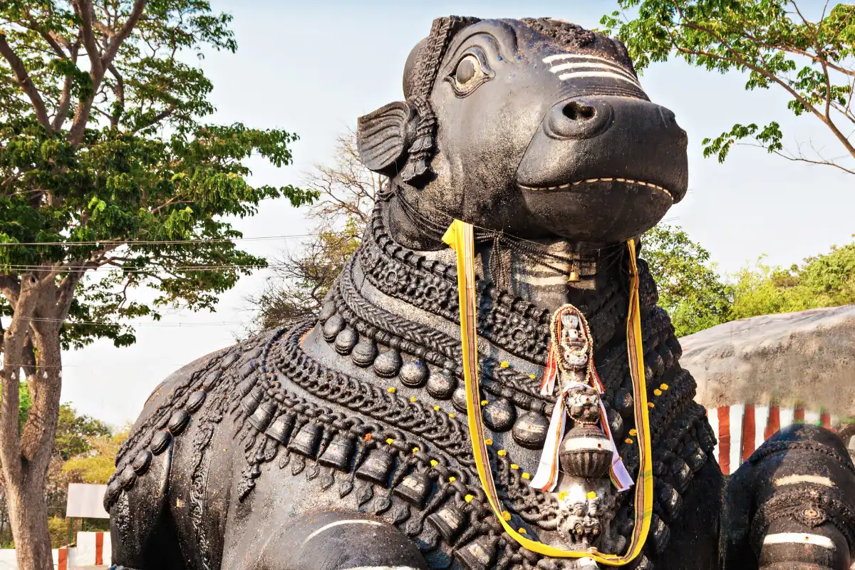 Circuit Inde du Sud 14 Jours — Bangalore, Mysore, Kerala & Tamil Nadu